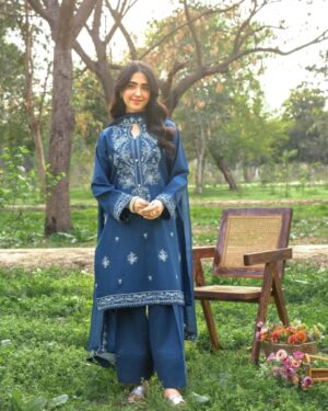 PA1 3Pc Stitched Embroidered suit